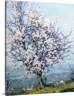 Spring By Emanuel Phillips Fox