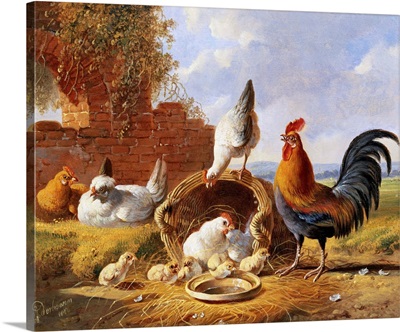 Spring Chickens By Albertus Verhoesen