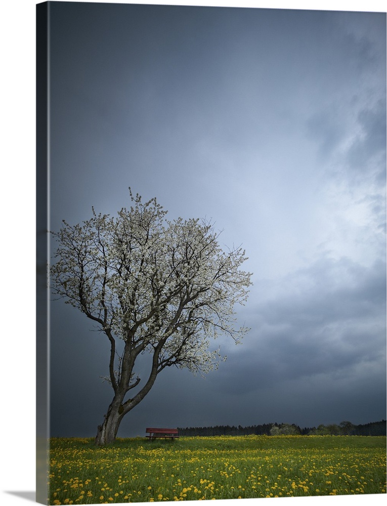 A thunderstorm was brewing, in spring 2011