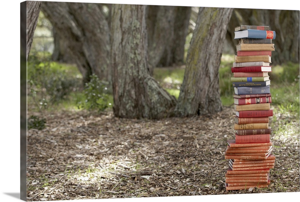 Stack of books in forest