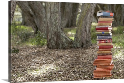 Stack of books in forest
