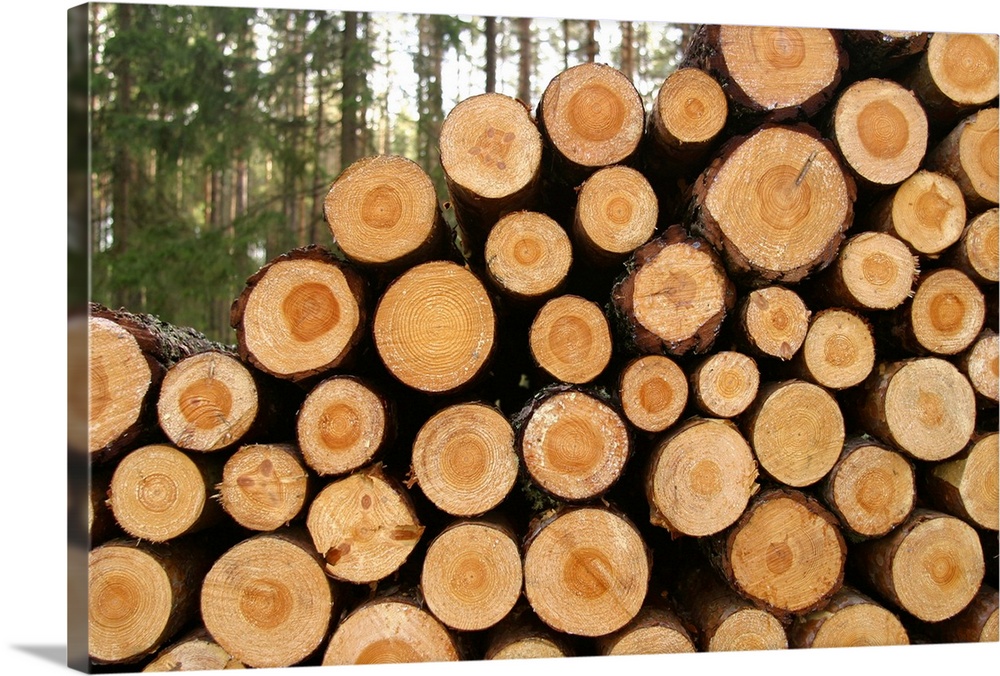 Wood Logs Background Stock Photo, Picture and Royalty Free Image