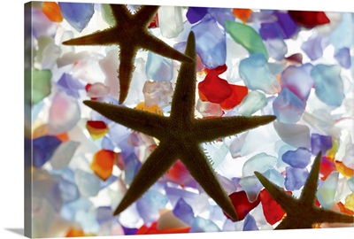 Starfish and colored stones