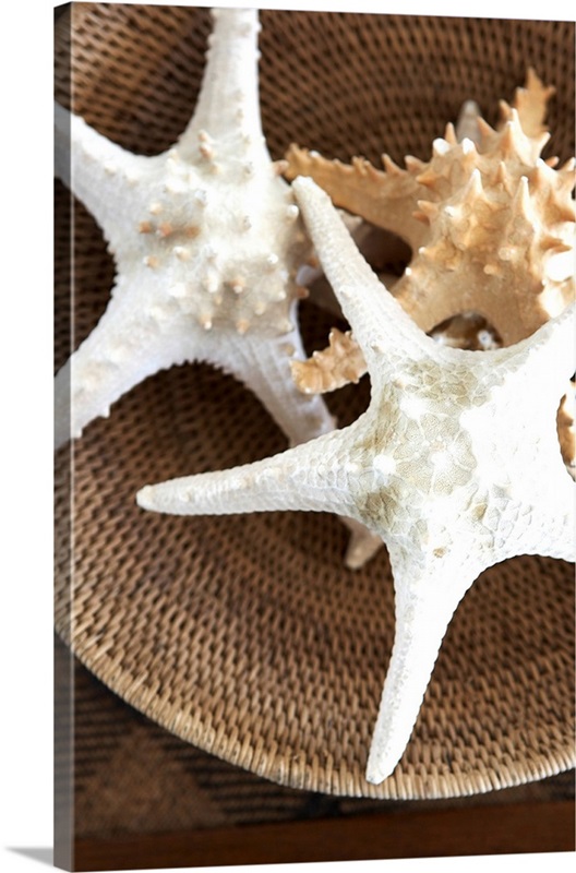 Starfish In A Basket Wall Art, Canvas Prints, Framed Prints, Wall Peels