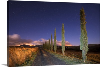 Starry Sky Over a Cypress Road