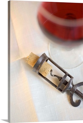Still life of corkscrew and wine