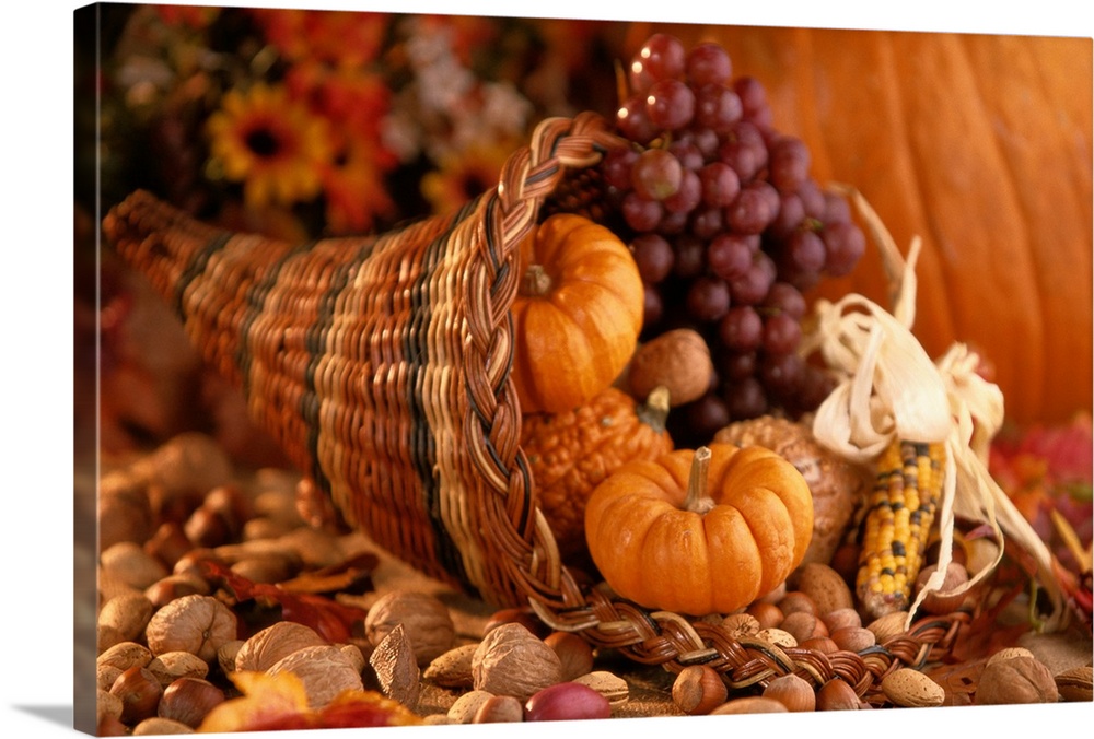Still Life of Thanksgiving Harvest