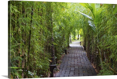 Stone pathway in tropical rainforest, Ubud, Bali, Indonesia