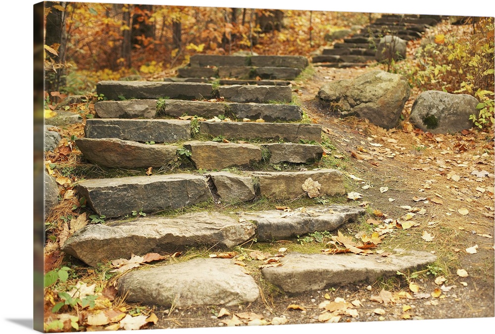 Stone steps on forest trail in autumn