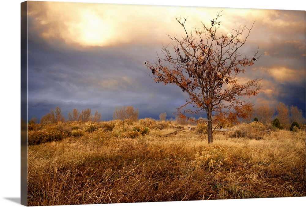 November storm on prairie during late afternoon at sunset lighting give this capture heavenly aura.