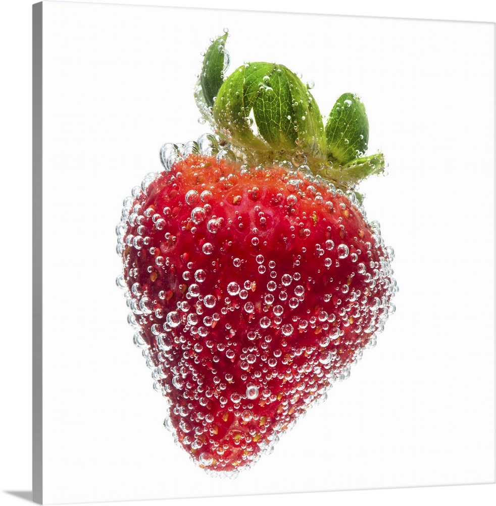 A juicy ripe organic Strawberry fruit submerged in clean clear refreshing water and covered in bubbles on a white backgrou...