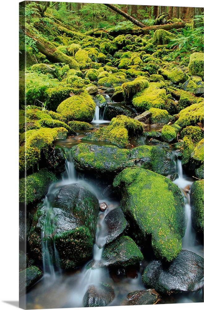 Stream Flowing Through Moss Covered Rocks