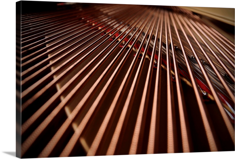 Strings Inside of the grand piano.