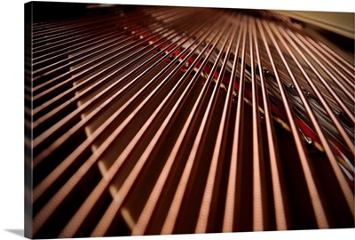 Strings Inside of the grand piano.