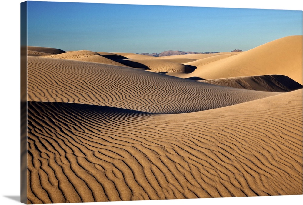 Sand dunes of Oceano Dunes near sunset.