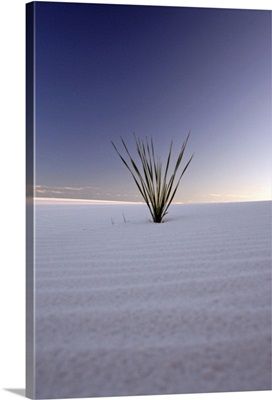 Sunset at White Sands, New Mexico