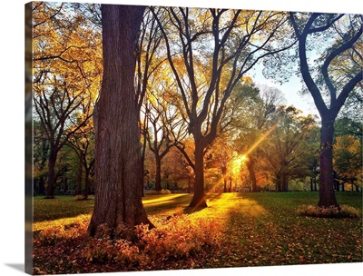 Sunset floods New York City's Central Park with warm light on an autumn day.