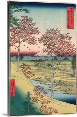 Sunset Hill, Meguro In The Eastern Capital