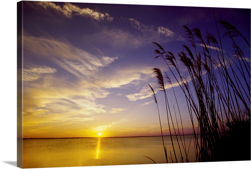 A view of the Barnegat Bay and sea oats during sunset from the Island Beach State Park in Seaside in New Jersey.