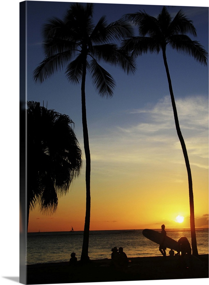 Silhouette surfboards and palm trees at Waikiki Beach, Hawaii.