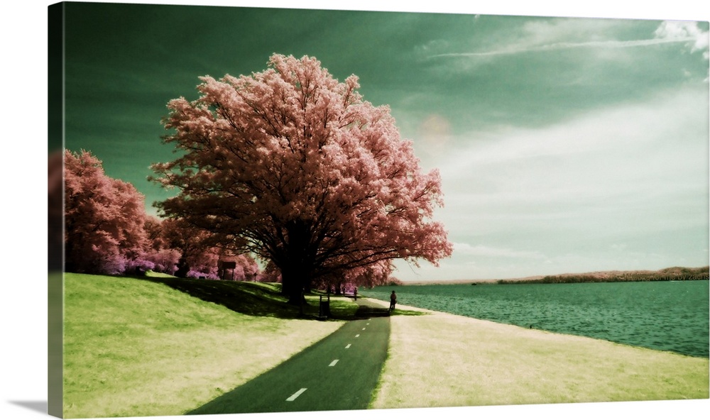 Surreal waterfront path extending to infinity past pink trees,