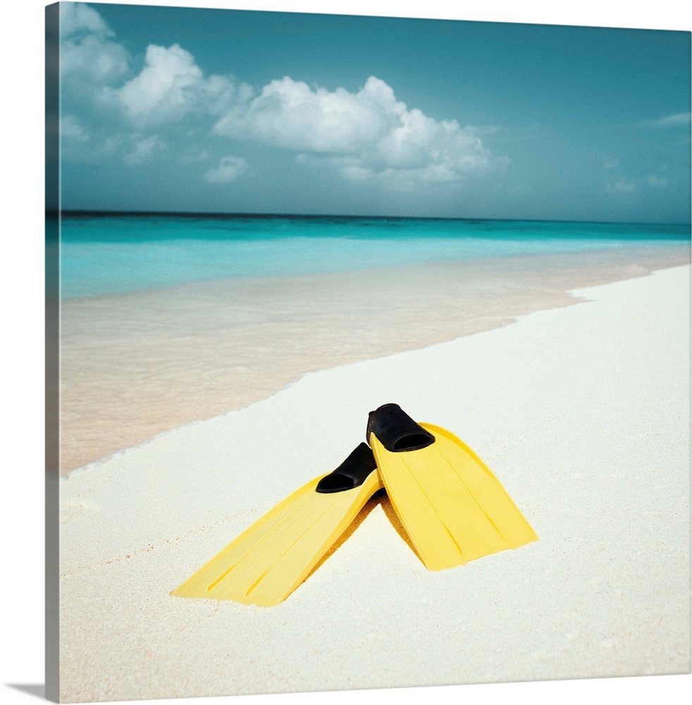 Swim Fins On The Beach