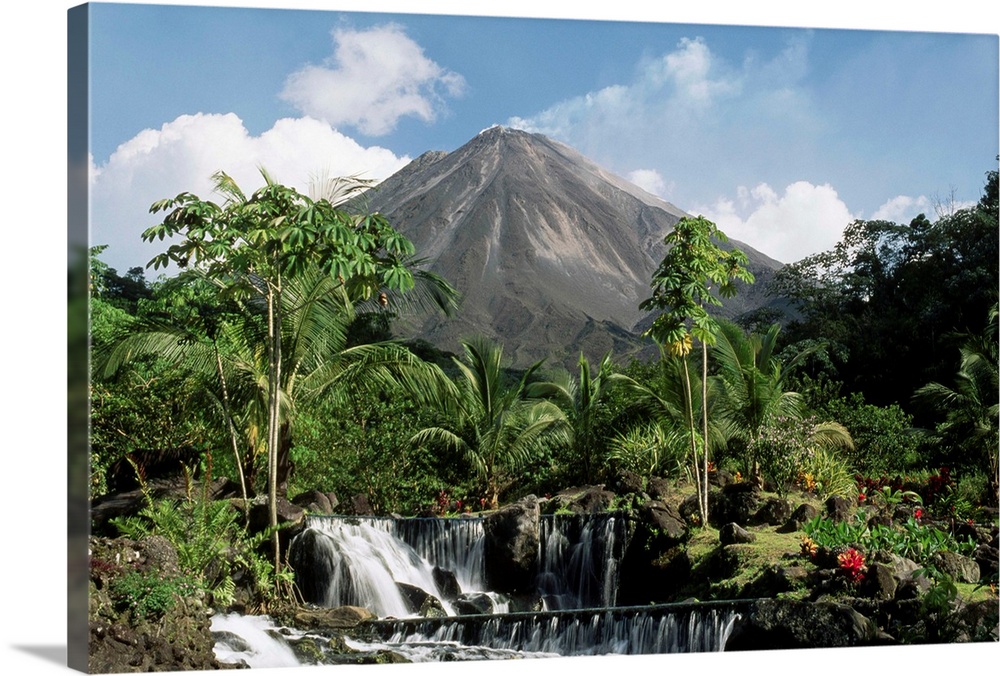 Palm trees stand over the hot springs which originate from Volcan Arenal, beyond Tabacon Hot Springs.
