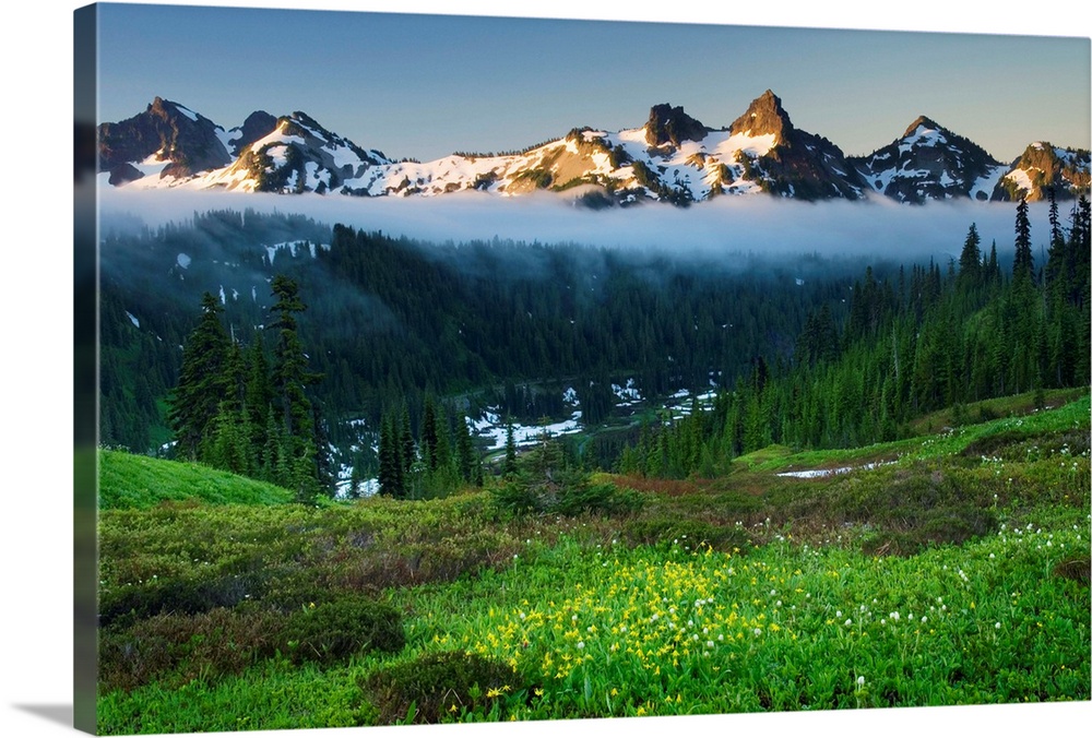 Tatoosh Range from Paradise wildflowers meadows, Mount Rainier National Park