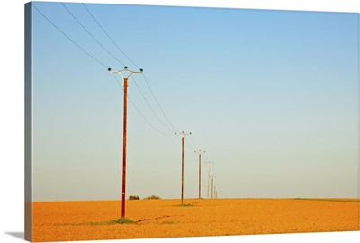 Telephone poles in field.