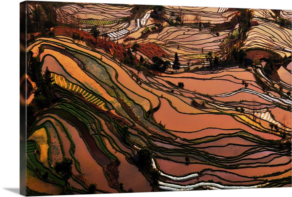 Terrace field in southwest China Yunnan Province.