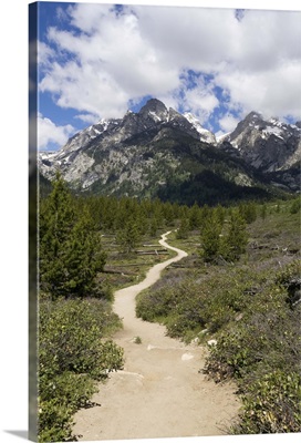 Teton hiking trail