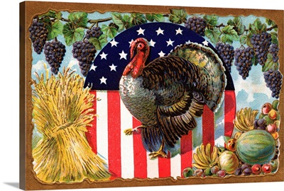 Thanksgiving Postcard With Turkey And Stars And Stripes Motif