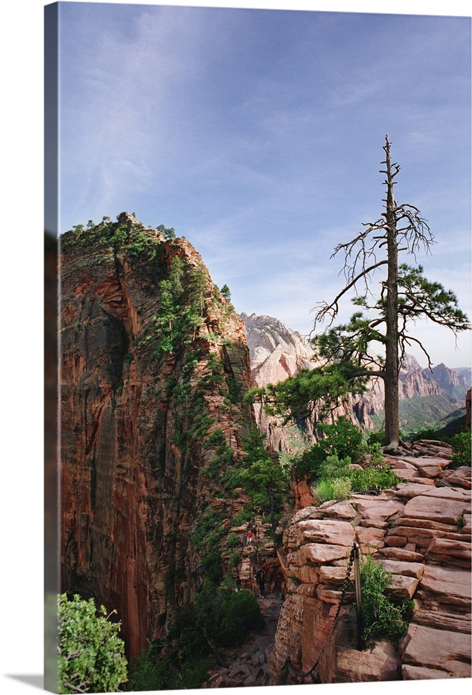 Zion's Angel's Landing Trail in Utah is not for the faint of heart. Hikers climb the steepest part of the trail with the h...