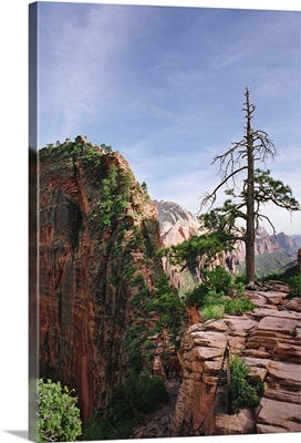 The Angel's Landing Trail at Zion National Park