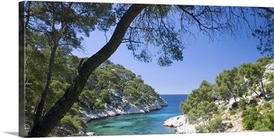 The Calanque de Port-Pin framed by pine trees with hiker discernible