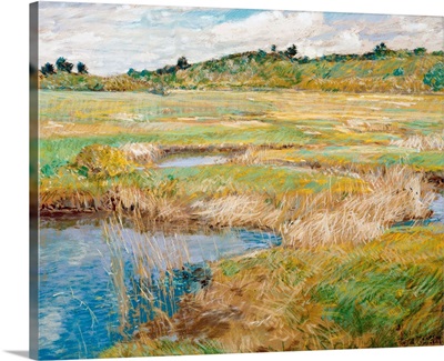 The Concord Meadow, Concord, Massachusetts By Childe Hassam