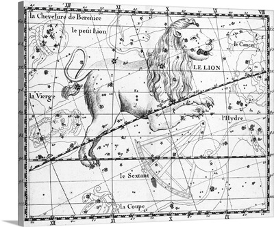 The Constellation Leo