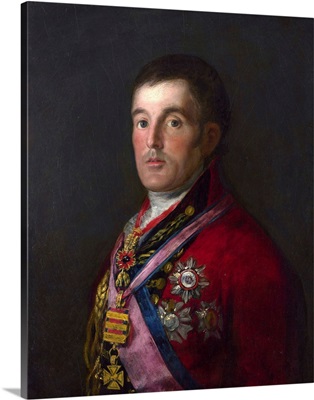 The Duke Of Wellington By Francisco De Goya