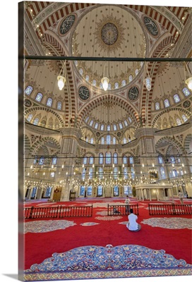 The Fatih Mosque, Istanbul, Turkey
