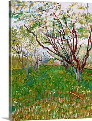 The Flowering Orchard