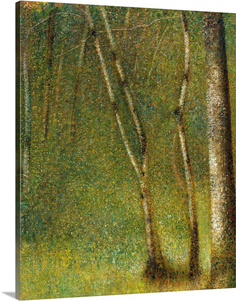 1881, oil on canvas, 79.1 x 62.5 cm, Metropolitan Museum of Art, New York.