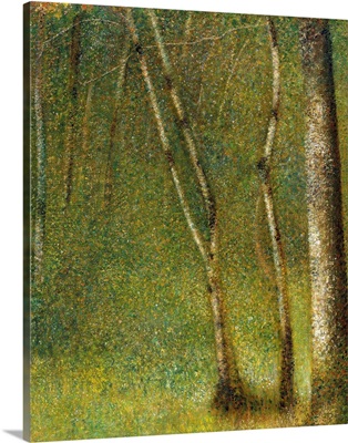 The Forest At Pontaubert