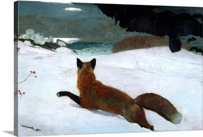 The Fox Hunt