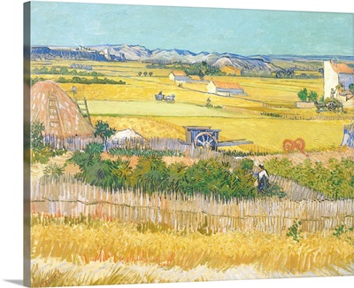 The Harvest