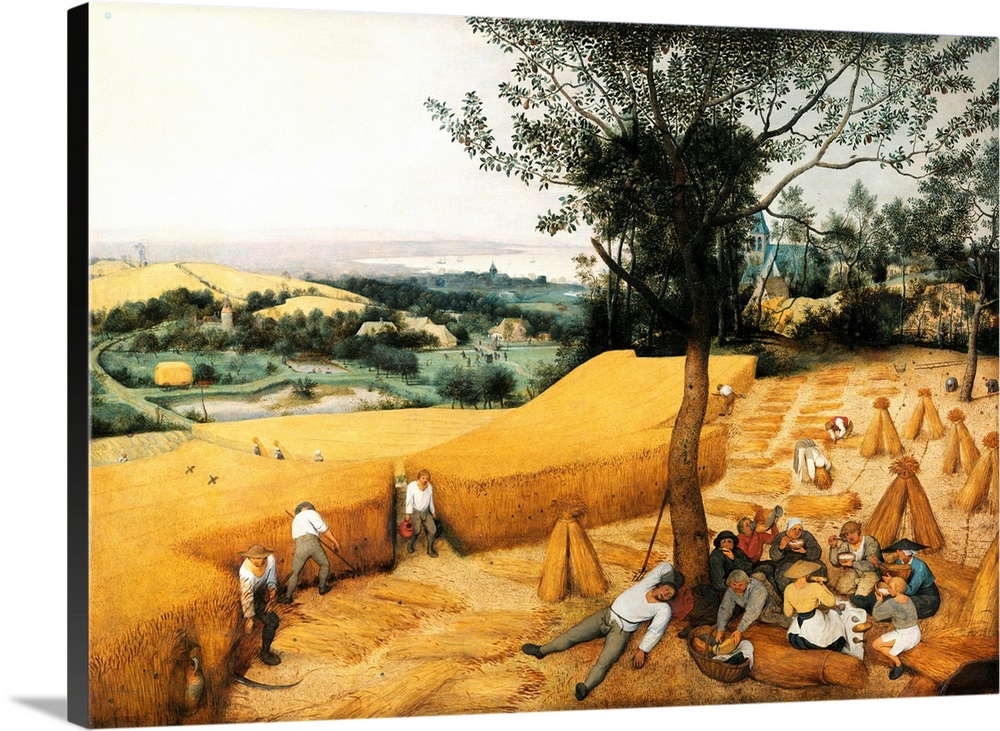 The Harvesters, from Bruegel's Cycle of the Four Seasons. 1565. Oil on panel, 162 x 119 cm (63.8 x 46.9 in). Metropolitan ...