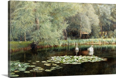 The Lily Pond By Edward R. Taylor