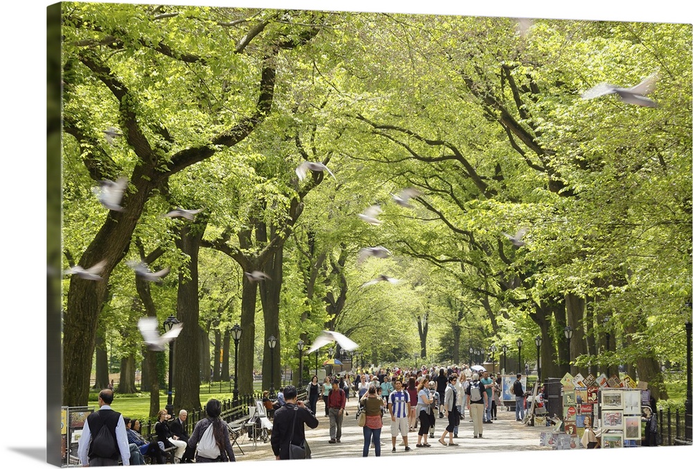 The Mall in New York City's Central Park during summer