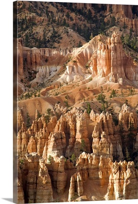 The Needles Of Bryce Canyon
