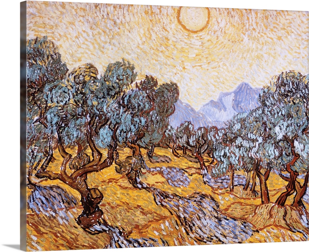 The Olive Trees By Vincent Van Gogh Solid-Faced Canvas Print