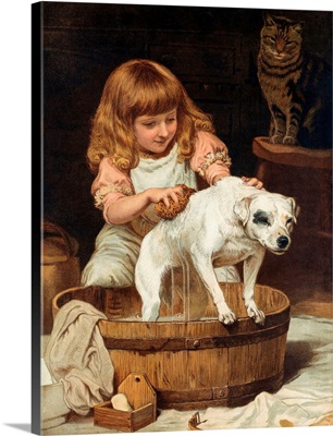 The Order Of The Bath By Charles Burton Barber